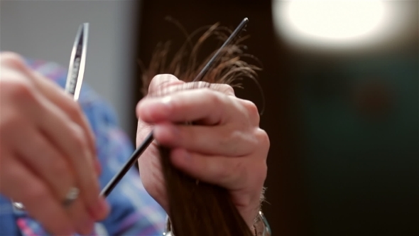 Beard Barber Making Haircut To Hipster Client Beard Barber Making Haircut To Hipster Client