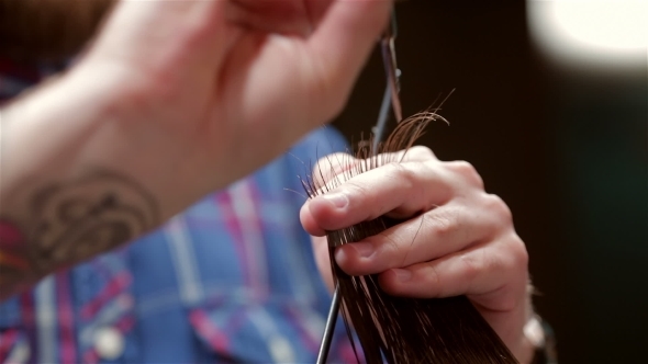 Beard Barber Making Haircut To Hipster Client Beard Barber Making Haircut To Hipster Client