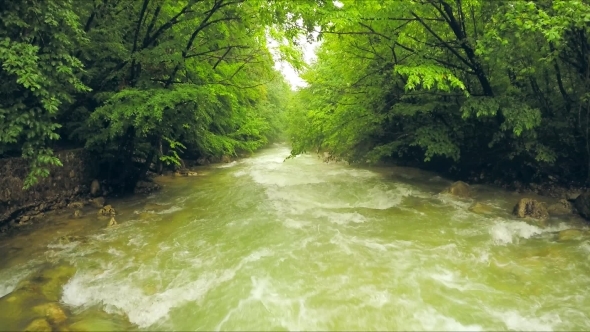 Calm River Flowing Down Among Lush Greenery In