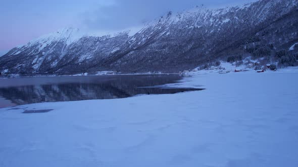 Beautiful seals sitting on ice during polar night, with a purple and pink sunset in the fjord Norway alt