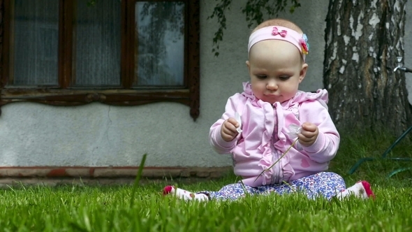Seven Month Baby Plays On a Lawn With a Flower Seven Month Baby Plays On a Lawn With a Flower