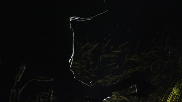 Murder in the Night 5 Murder in the Night 5