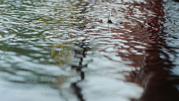 Raindrops Falling On The Water Surface