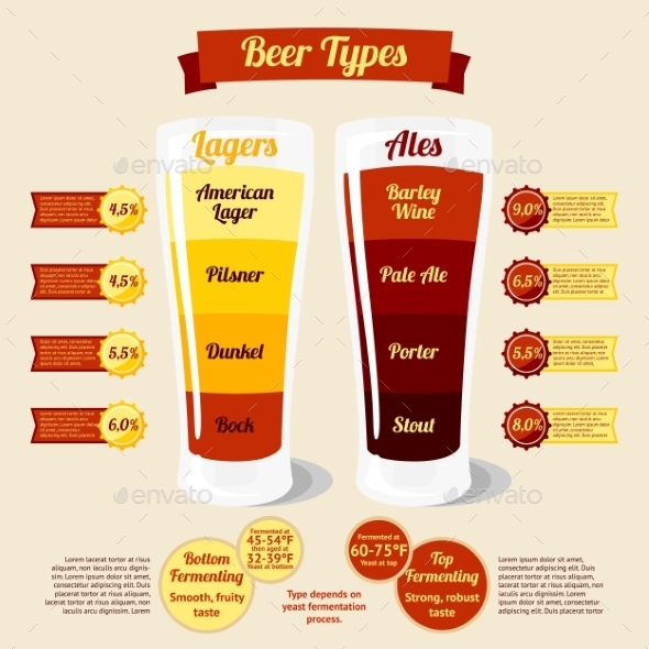 Types Of Beer Infographic Types Of Beer Infographic