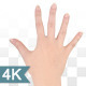Female Touch Gestures - VideoHive Item for Sale