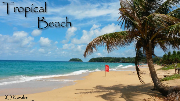 Tropical Beach Tropical Beach