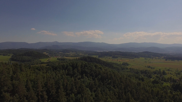 Aerial Over The Forest 2