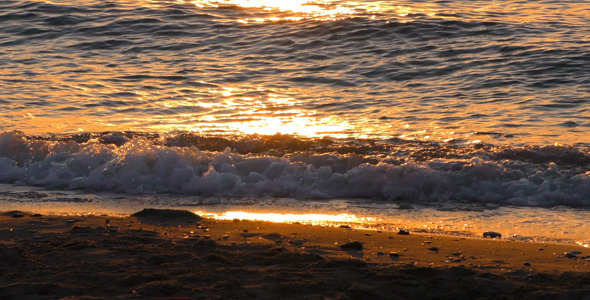 Seaside and Shiny Sunlight Seaside and Shiny Sunlight