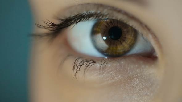 Woman's Eye Woman's Eye