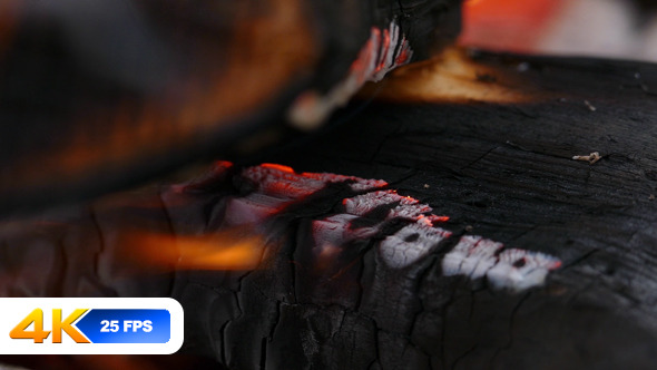 Bonfire Bonfire