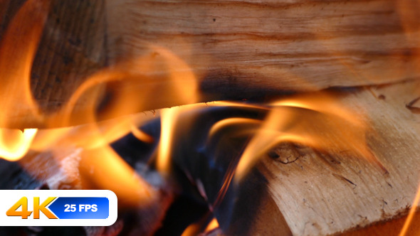 Camp Fire Camp Fire