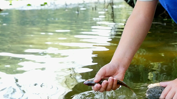 Boy Holding A Fish In His Hand Boy Holding A Fish In His Hand