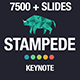 Stampede - Multipurpose Keynote Template - $15.00 Stampede - Multipurpose Keynote Template