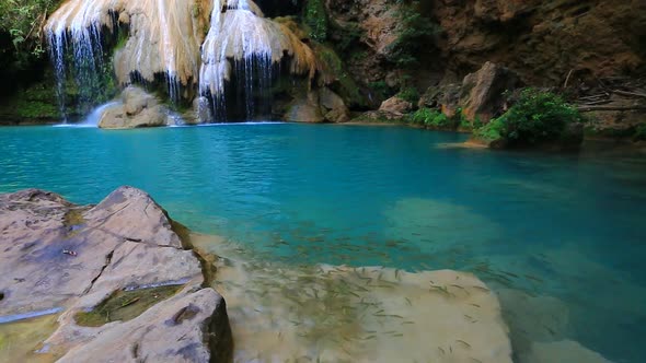 Fish In Khor Louang Waterfall In Lamphun Thailand 3 alt