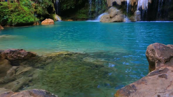 Fish In Khor Louang Waterfall In Lamphun Thailand 5 alt