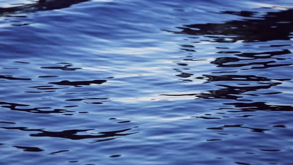 Rippling Blue Water Surface 1