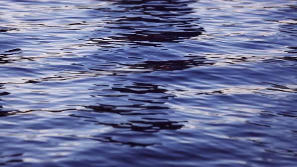 Rippling Blue Water Surface 2