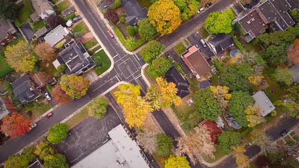 Top Suburban View Of Montreal And Beautiful Trees 1