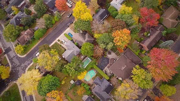 Top Suburban View Of Montreal And Beautiful Trees 3