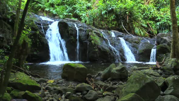 Lush Stream In Jungle 6