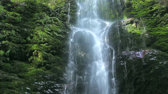 Beautiful Waterfall 3