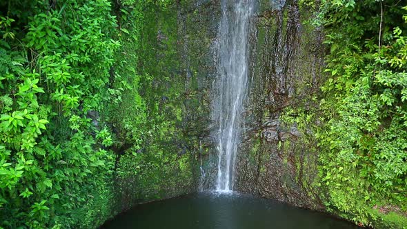 Lush Waterfall 1