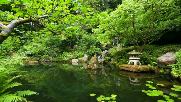 Zen Garden 1