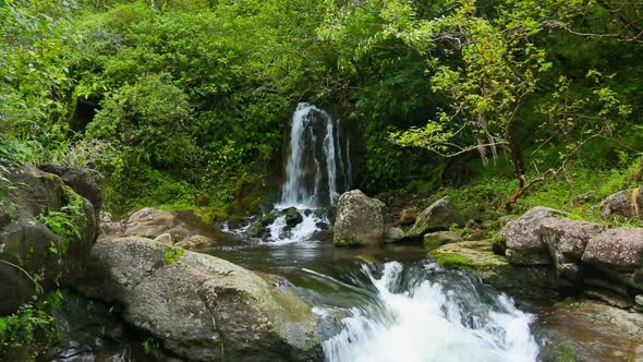 Tropical Jungle Waterfall In Hawaii 2