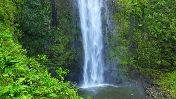 Tropical Waterfall In Hawaii 1