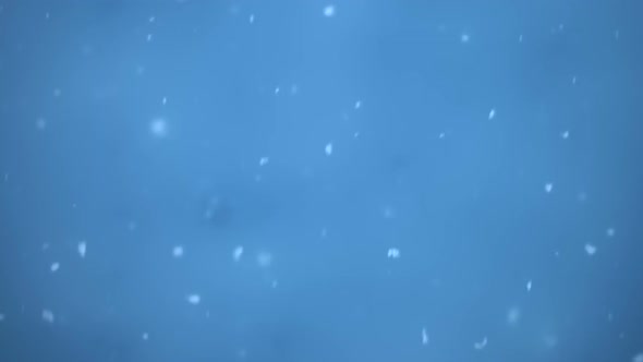 Magical And Fairy Blue Snowy Background 1