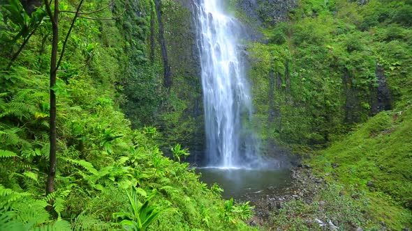 Tropical Waterfall In Hawaii 2