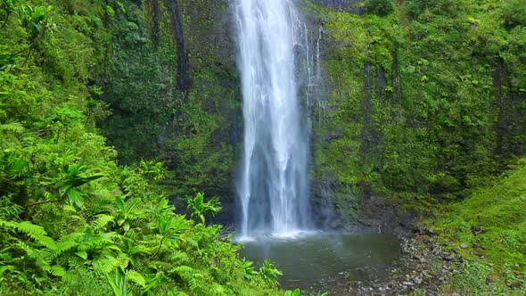 Tropical Waterfall In Hawaii 3