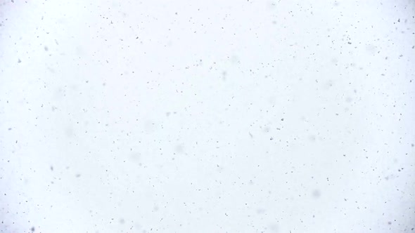Snow Falling On The Lens 3