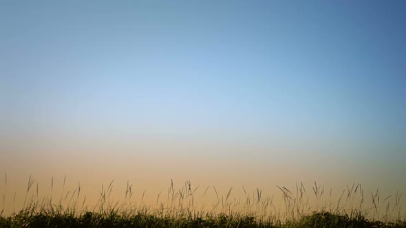 Man Running In Blowing Grass Silhouette.