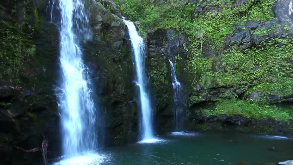 Waterfall In Jungle 1