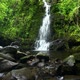 Waterfall In Jungle 2 - VideoHive Item for Sale