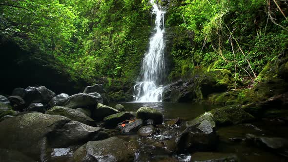 Waterfall In Jungle 2