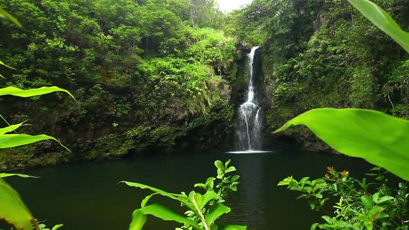 Waterfall In Jungle 3