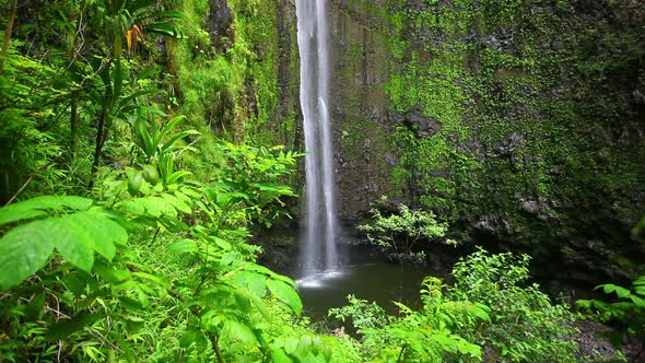 Waterfall In Jungle 4