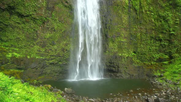 Waterfall In Jungle 5