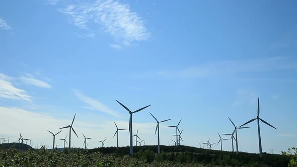 Wind Turbine Field 2