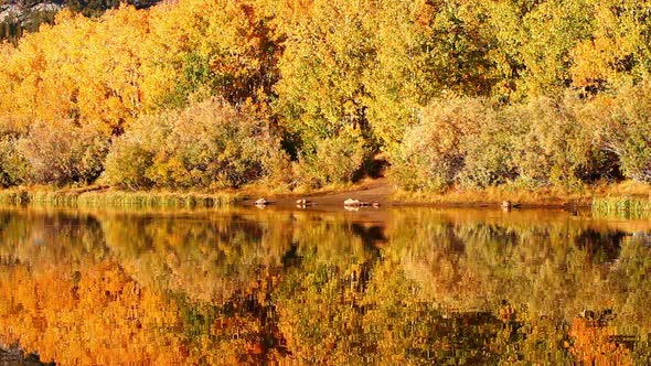 Fall Colors Reflecting In Lake