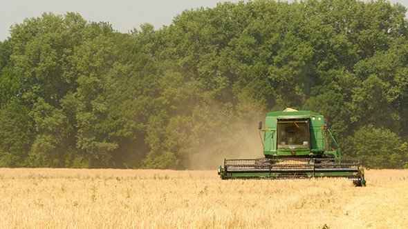 Modern Combine Harvesting Grain In The Field Modern Combine Harvesting Grain In The Field