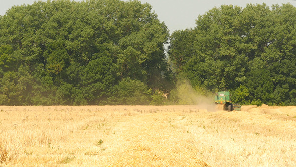 Modern Combine Harvesting Grain In The Field Modern Combine Harvesting Grain In The Field