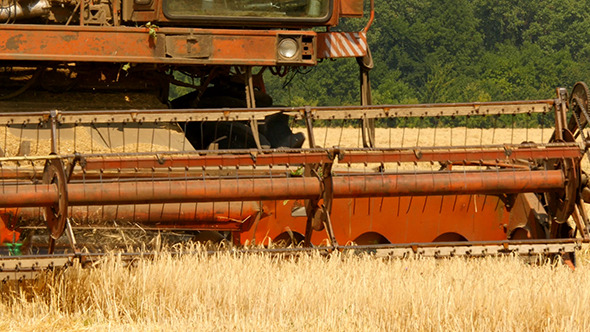 Old Grain Harvester Working In A Field Old Grain Harvester Working In A Field