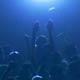 Dance Crowd Music - VideoHive Item for Sale