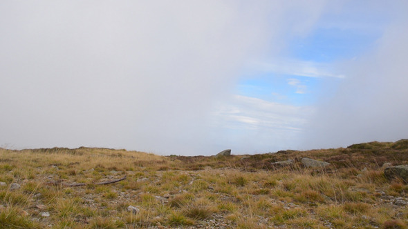 Mountain Mountain