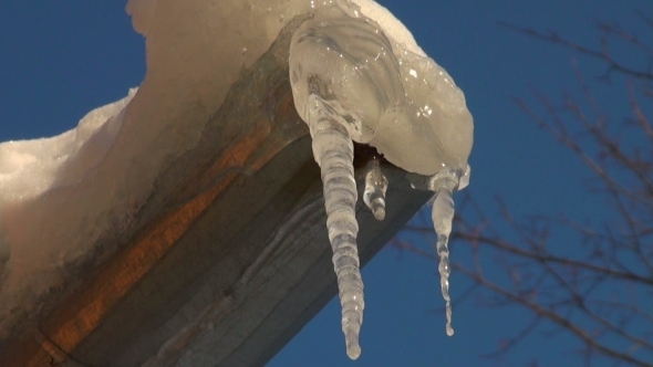Thawing Icicle