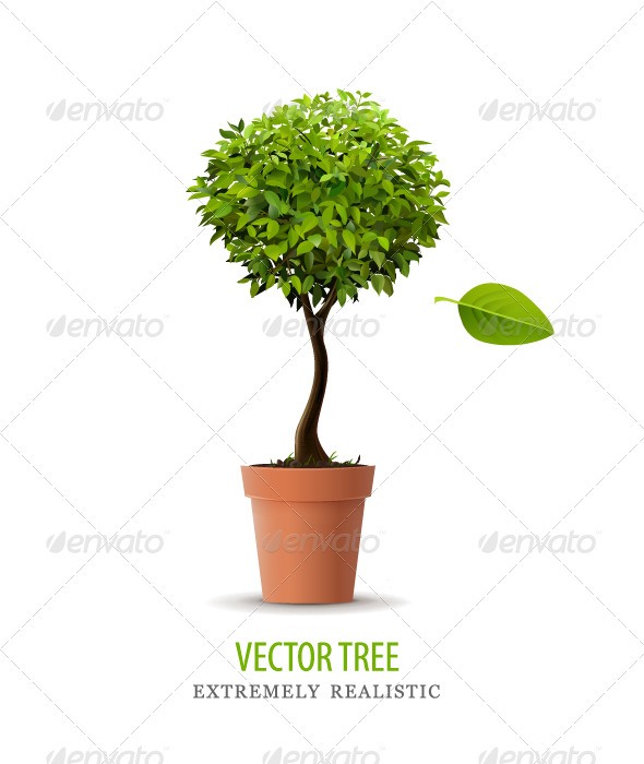 Realistic vector tree - Flowers & Plants Nature
