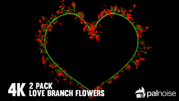 Flower Love Frames (2-Pack)